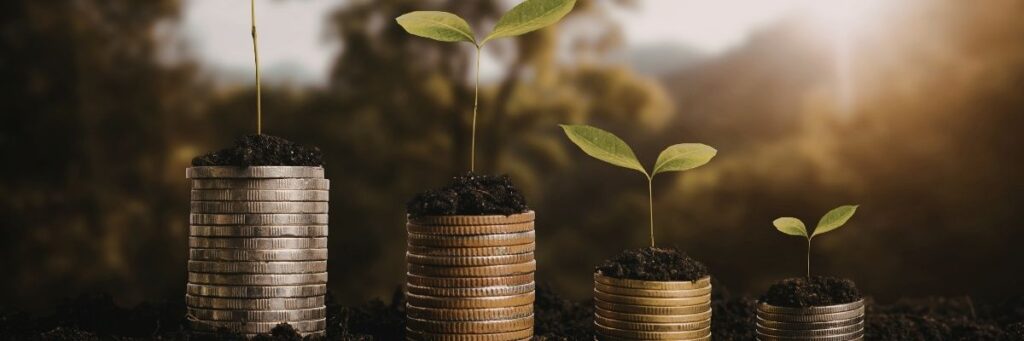 Wealth Building
