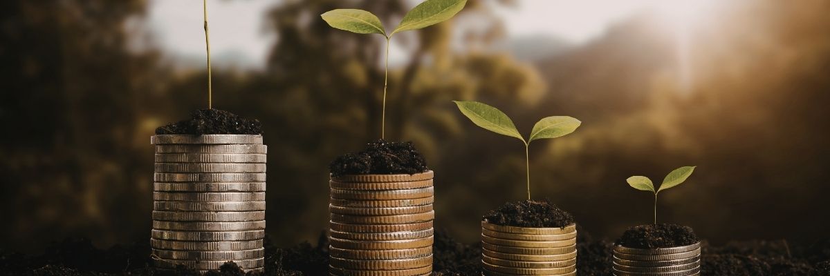 Wealth Building